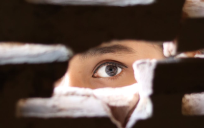 Diferencia entre testigo protegido y confidente policial