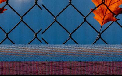 Clasificación penitenciaria y sus regímenes de vida (Tercera Parte).