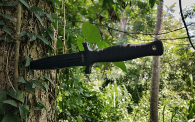 Tenencia ilícita de armas prohibidas o reglamentadas modificadas. Relevancia Penal.