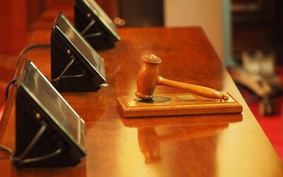 Los dictámenes periciales sobre credibilidad de los menores en el proceso penal. Con la colaboración de la psicóloga Carmen Moyano