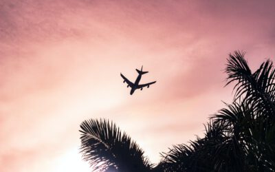 Delitos aeronáuticos (VIII): Falsedad.