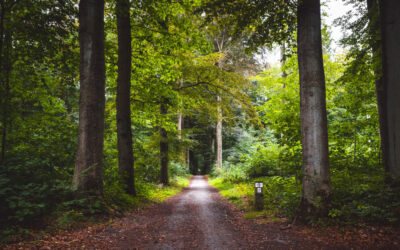 La «pena de telediario» o el escarnio público televisado.