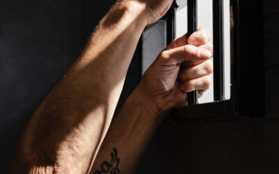 Análisis Jurídico del Auto de Prisión Provisional comunicada y sin fianza de D.José Luis Ábalos