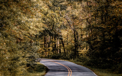 El caso de las señales de Rubí ¿Delito contra la seguridad vial o delito de daños o ambos delitos?